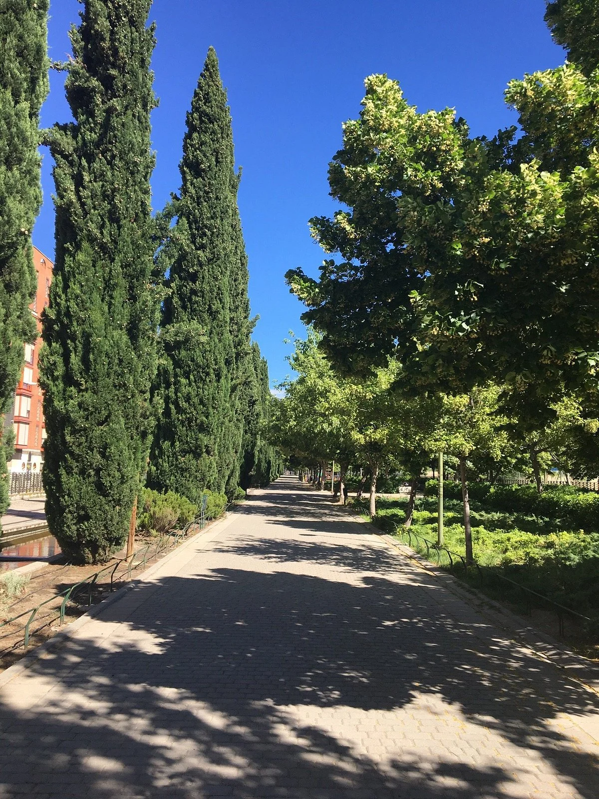 Parque Tierno Galvan