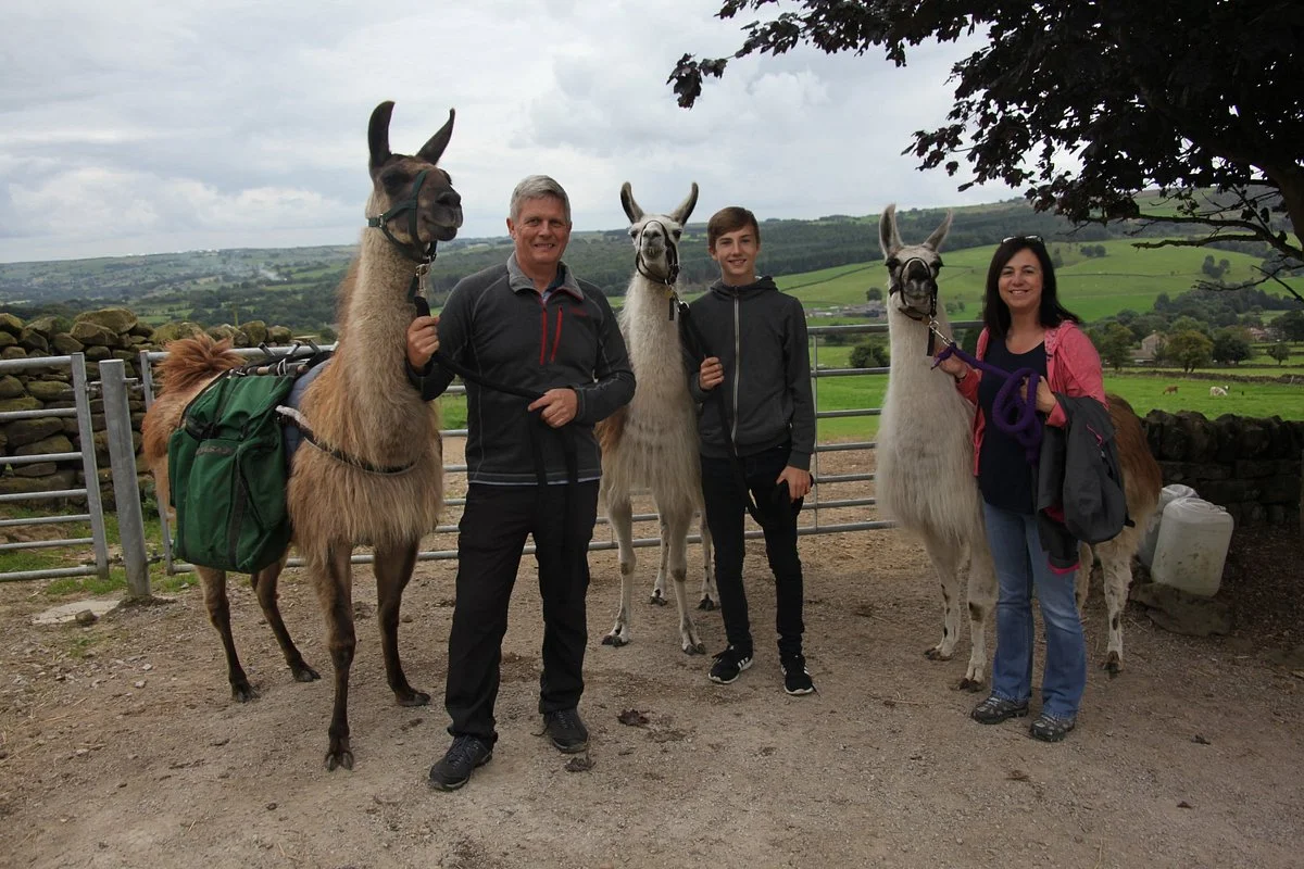 Nidderdale Llamas