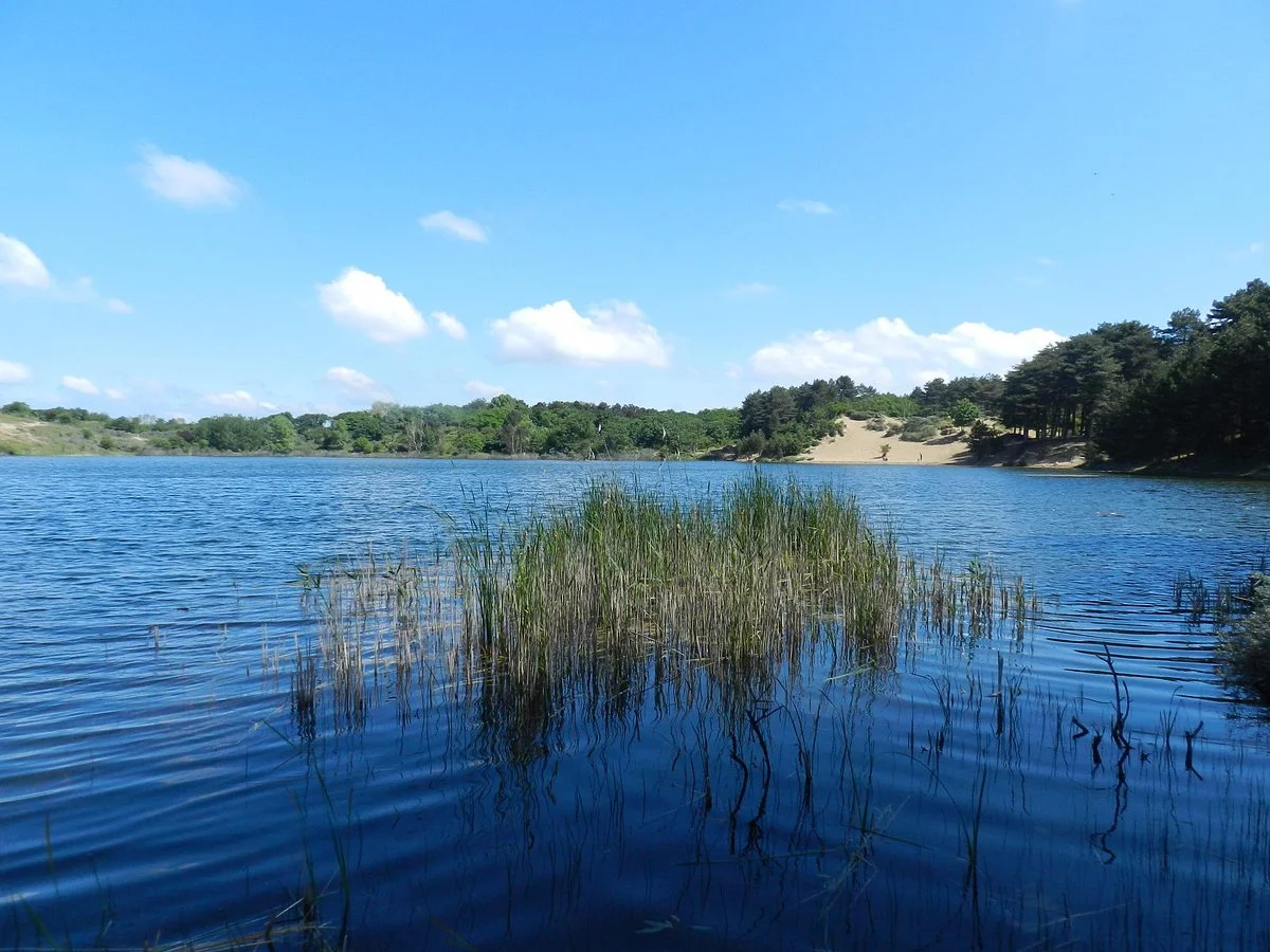 Kennemer Dunes National Park
