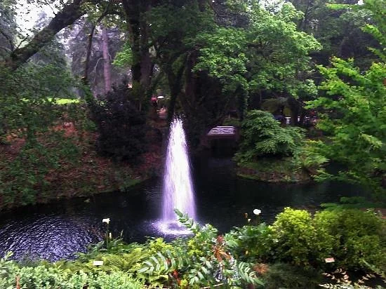 Jardin Botanico Atlantico