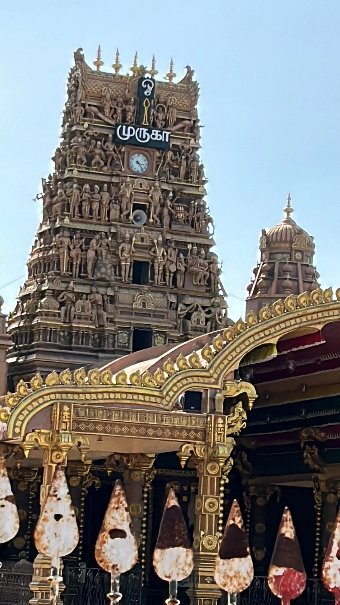 Nallur Kandaswamy Kovil Festival