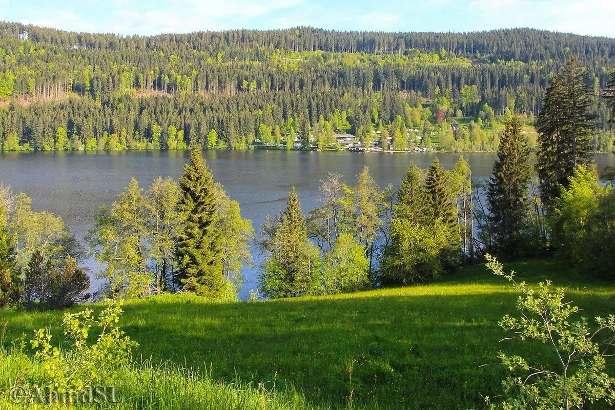 Lake Titisee