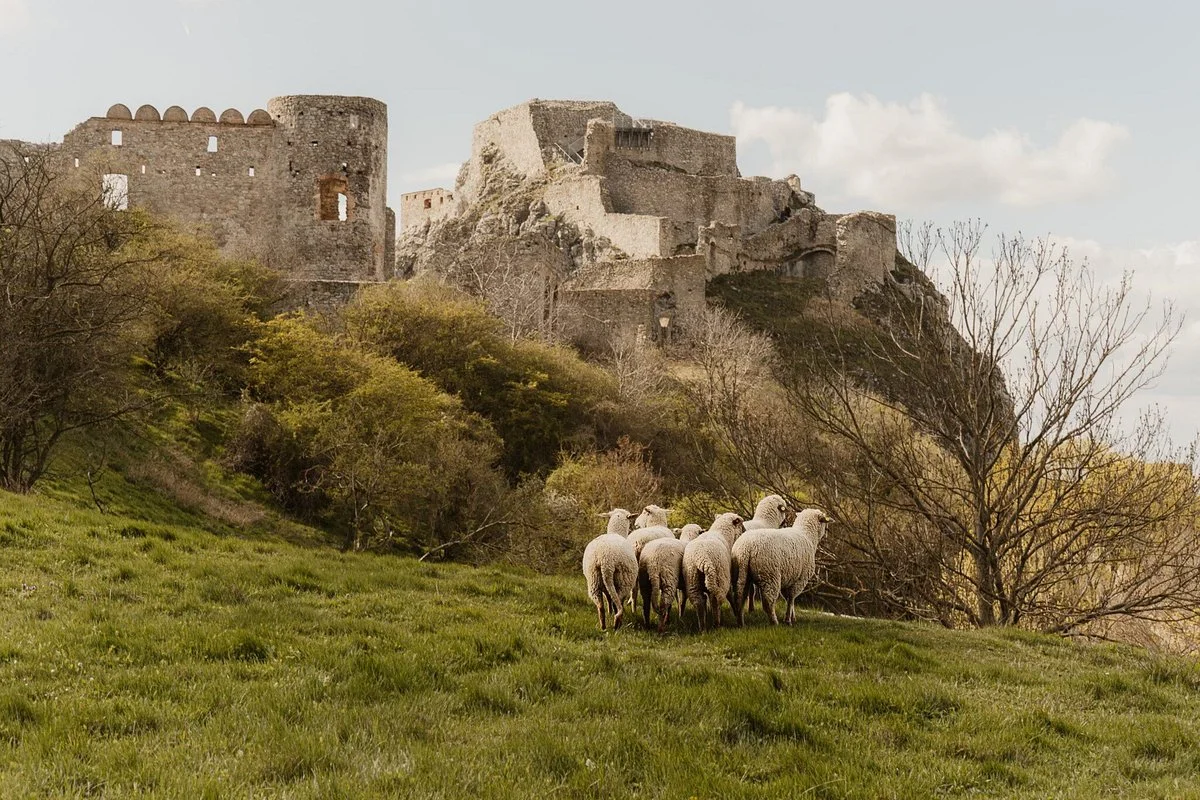 Devin Castle