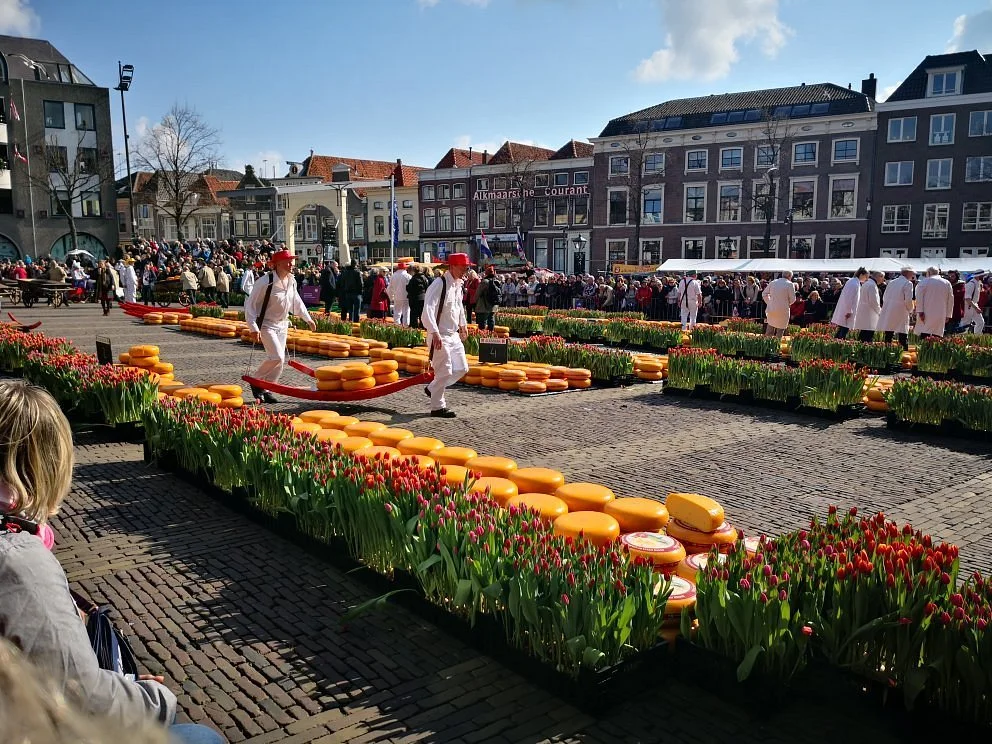 Cheese Market