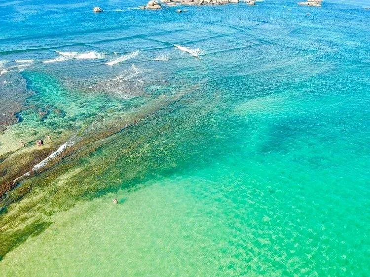 Coral Sanctuary