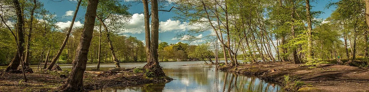 Tilgate Park