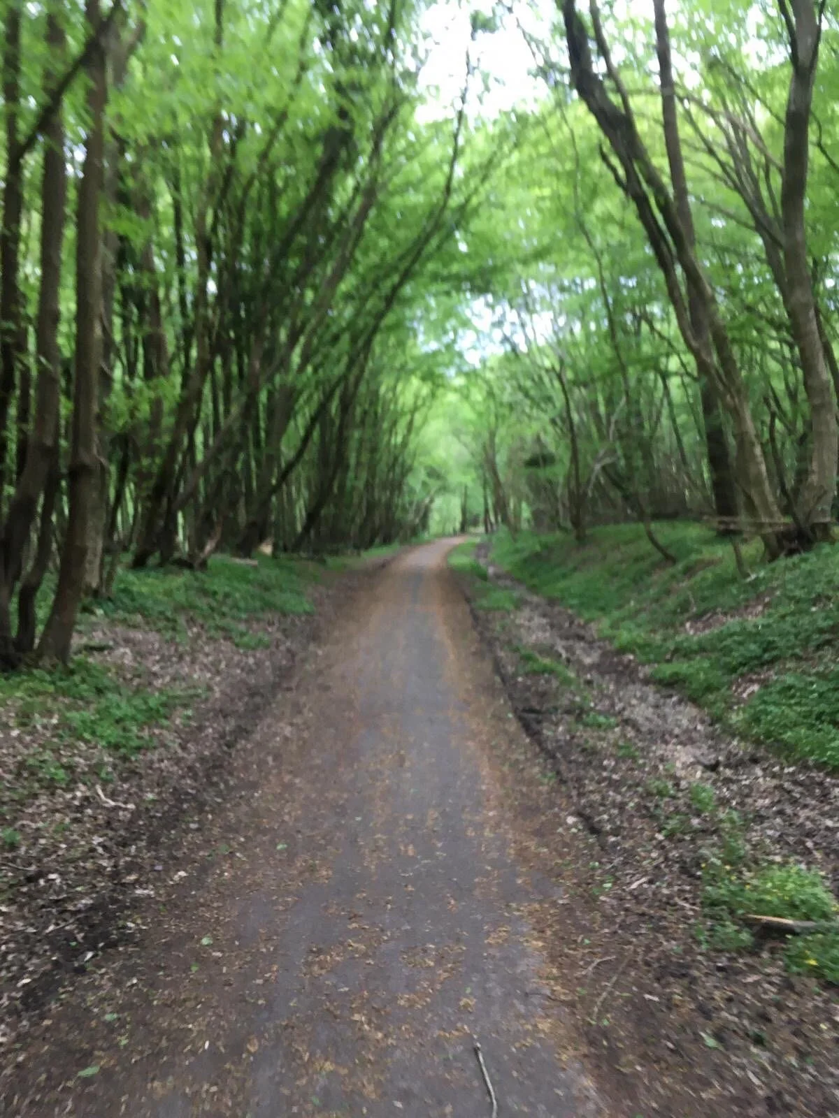 Cuckoo Trail