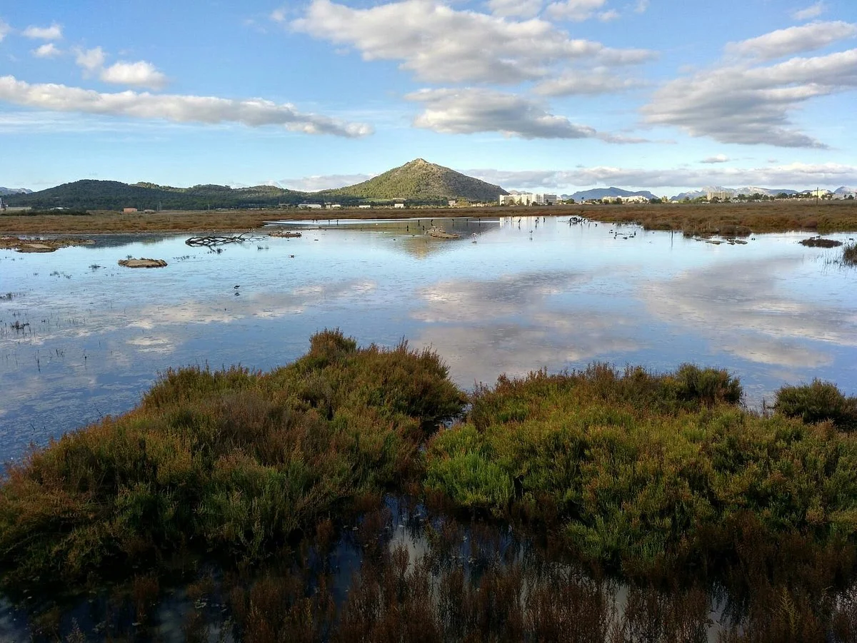 Parque Natural S'Albufera de Mallorca