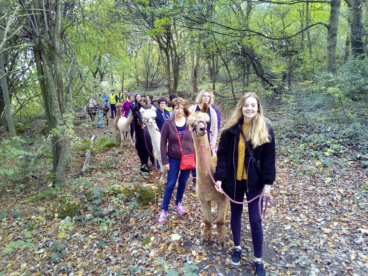 Holly Hagg Community Farm