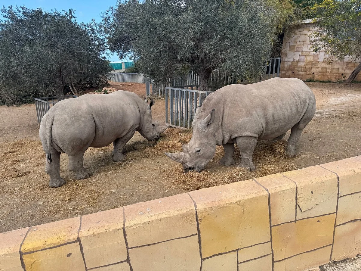 Pafos Zoo