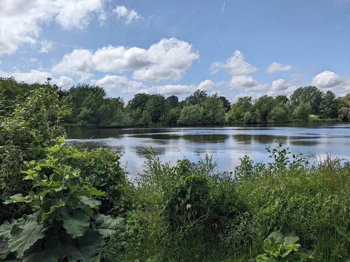 Mote Park