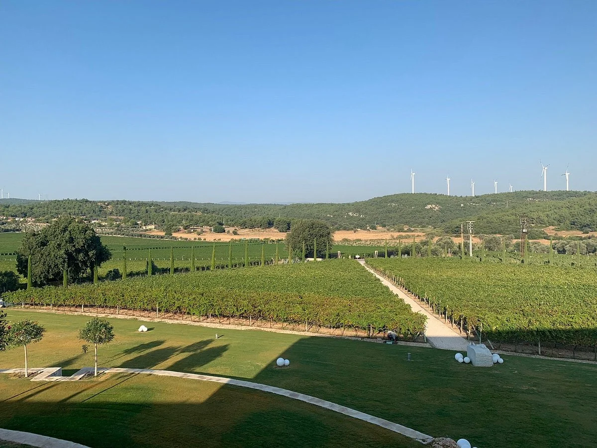 Urla Winery