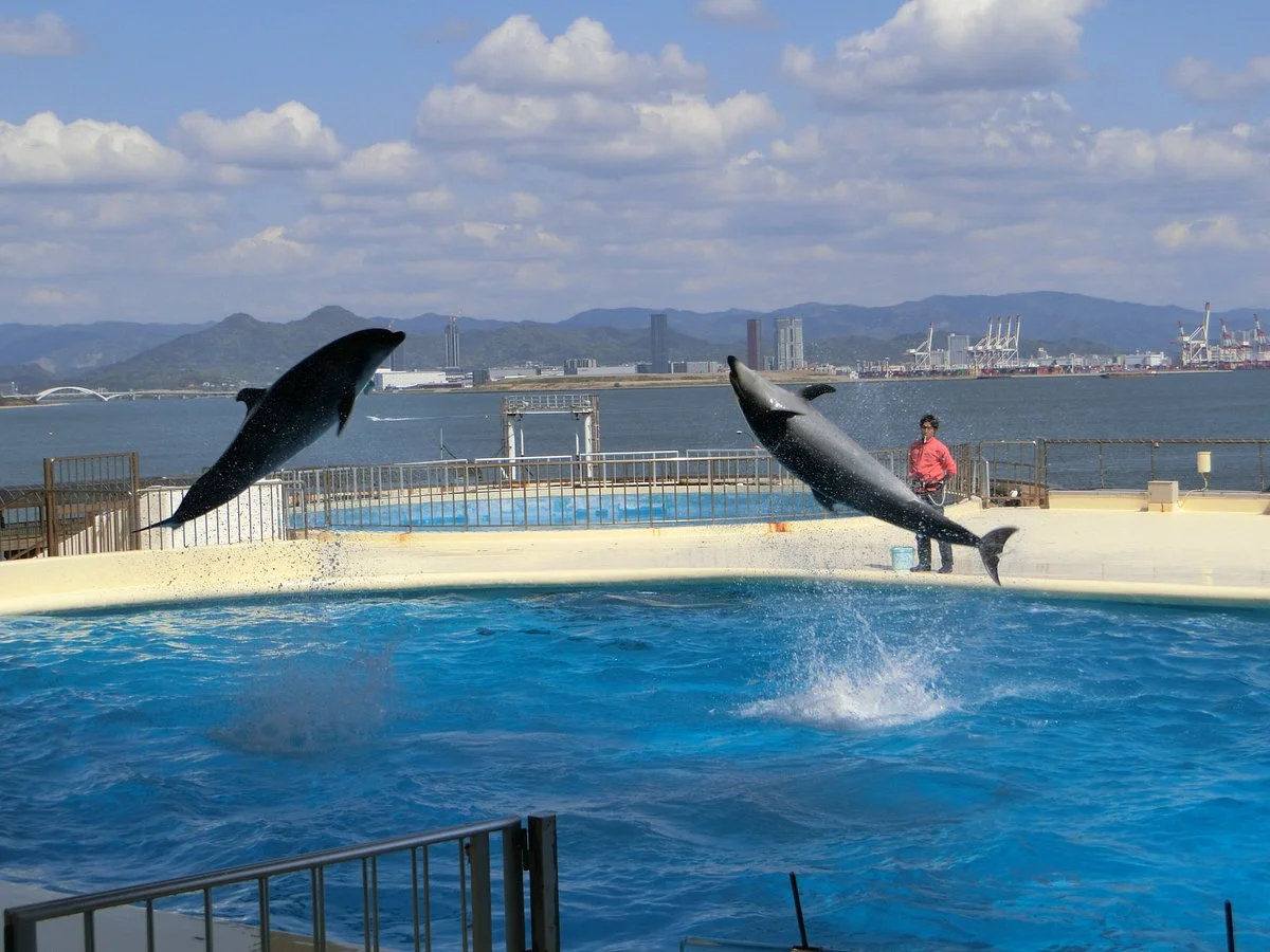 Marine World umino-nakamichi