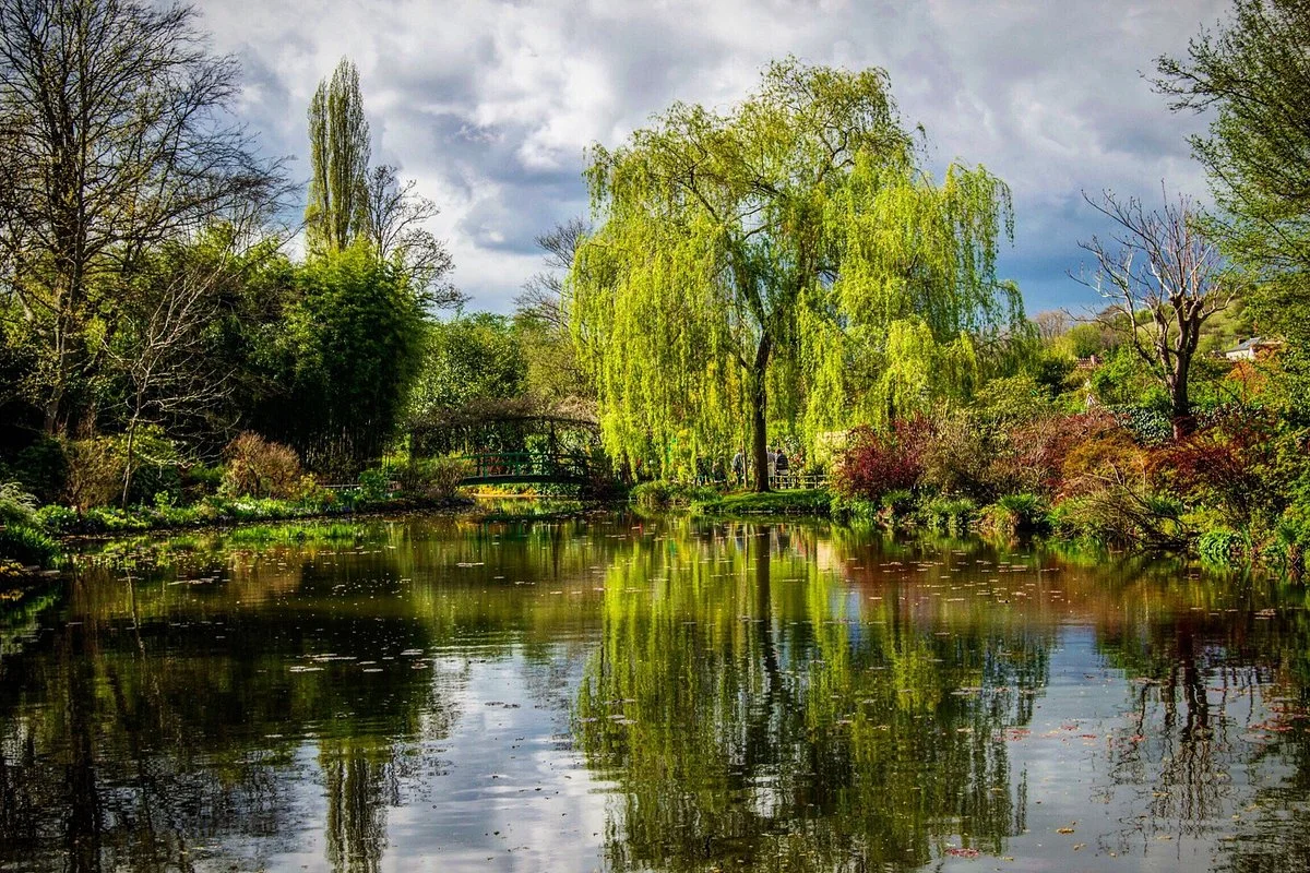 Fondation Claude Monet