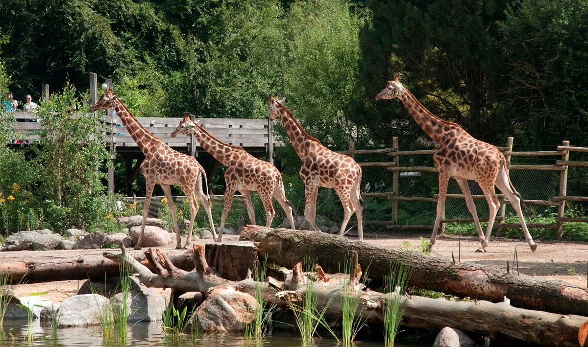 Amersfoort Zoo