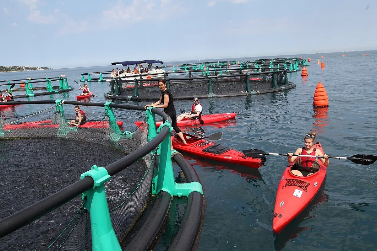 Fonda Fish Farm