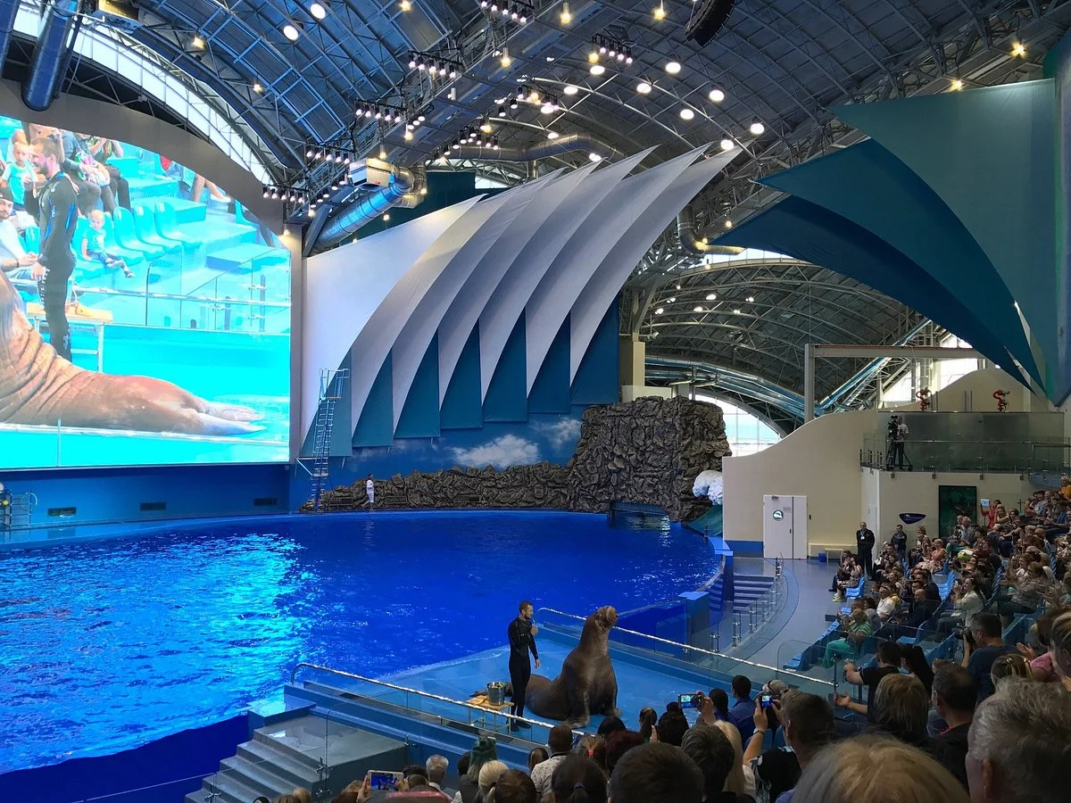 Primorsky Aquarim