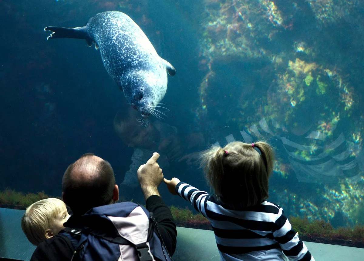 Oceanopolis