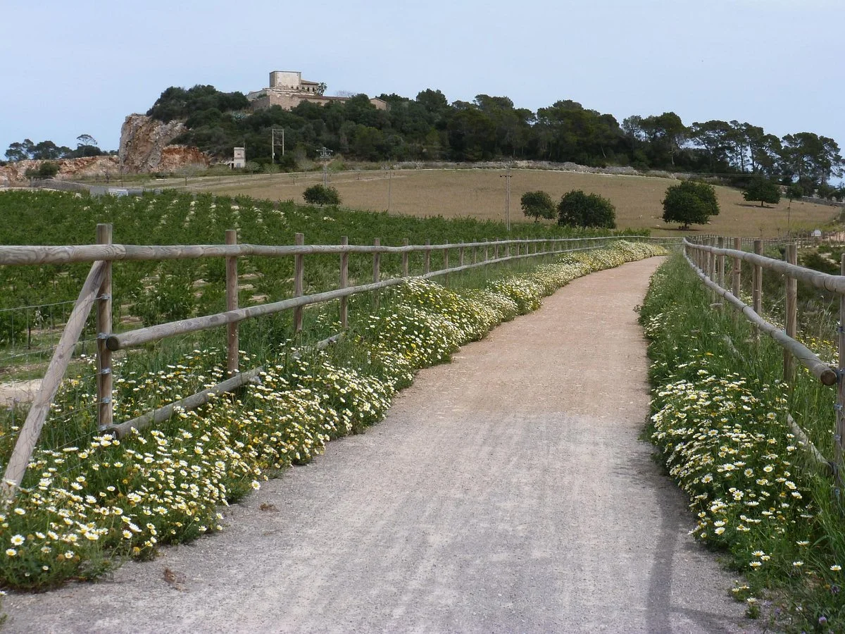 Via Verda