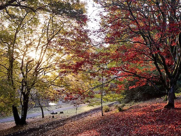 Leonardslee Lakes & Gardens