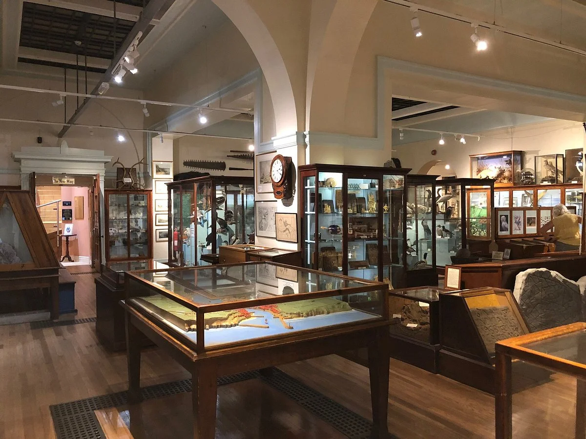 Whitby Museum