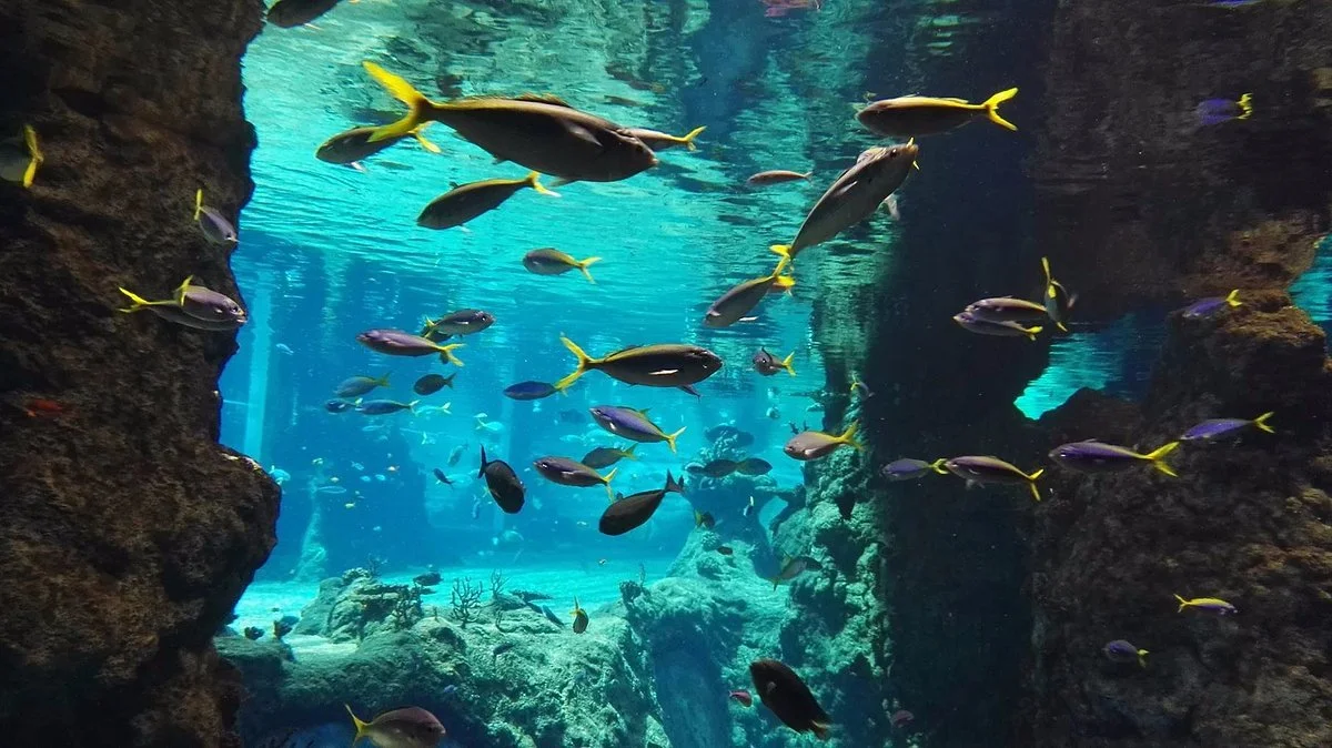 Wroclaw Zoo & Afrykarium