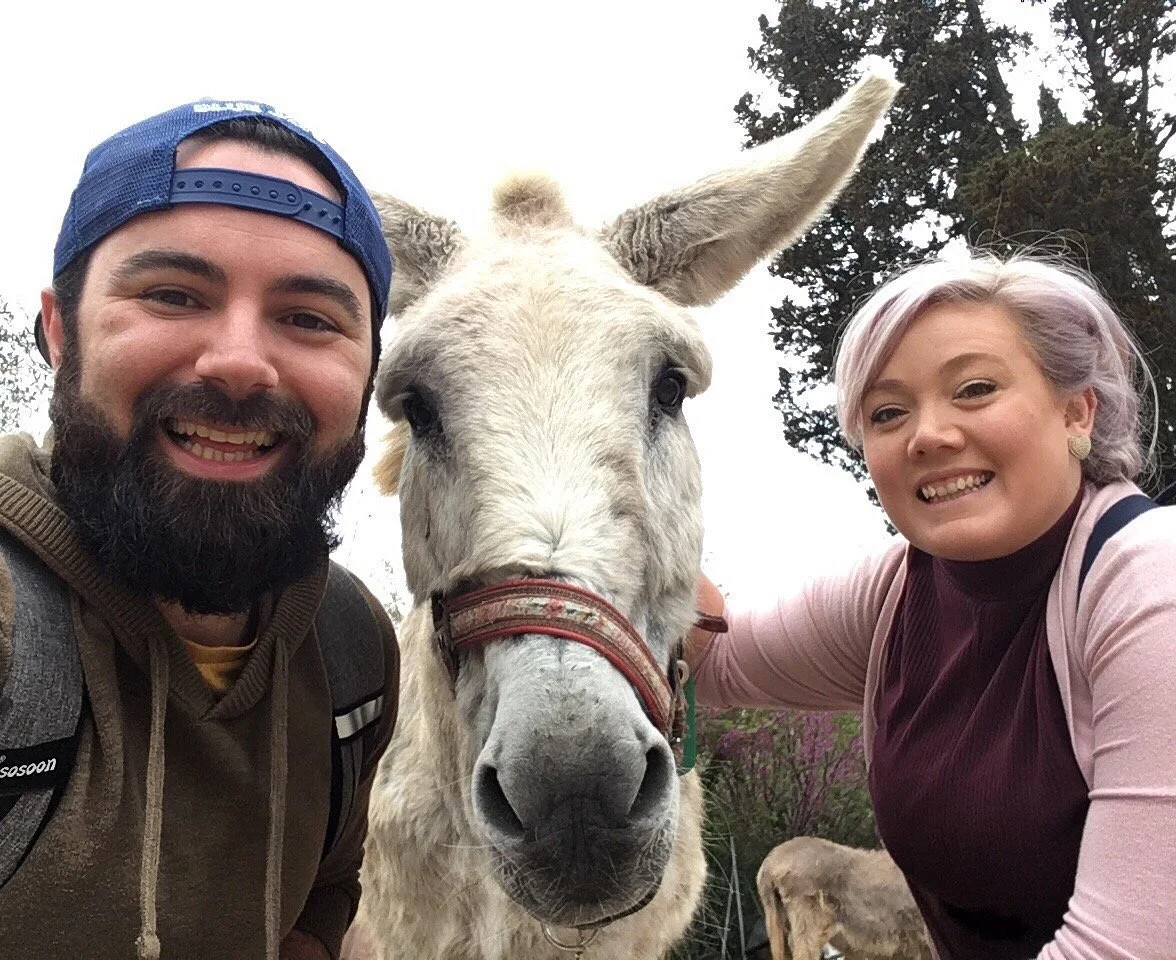 Corfu Donkey Rescue