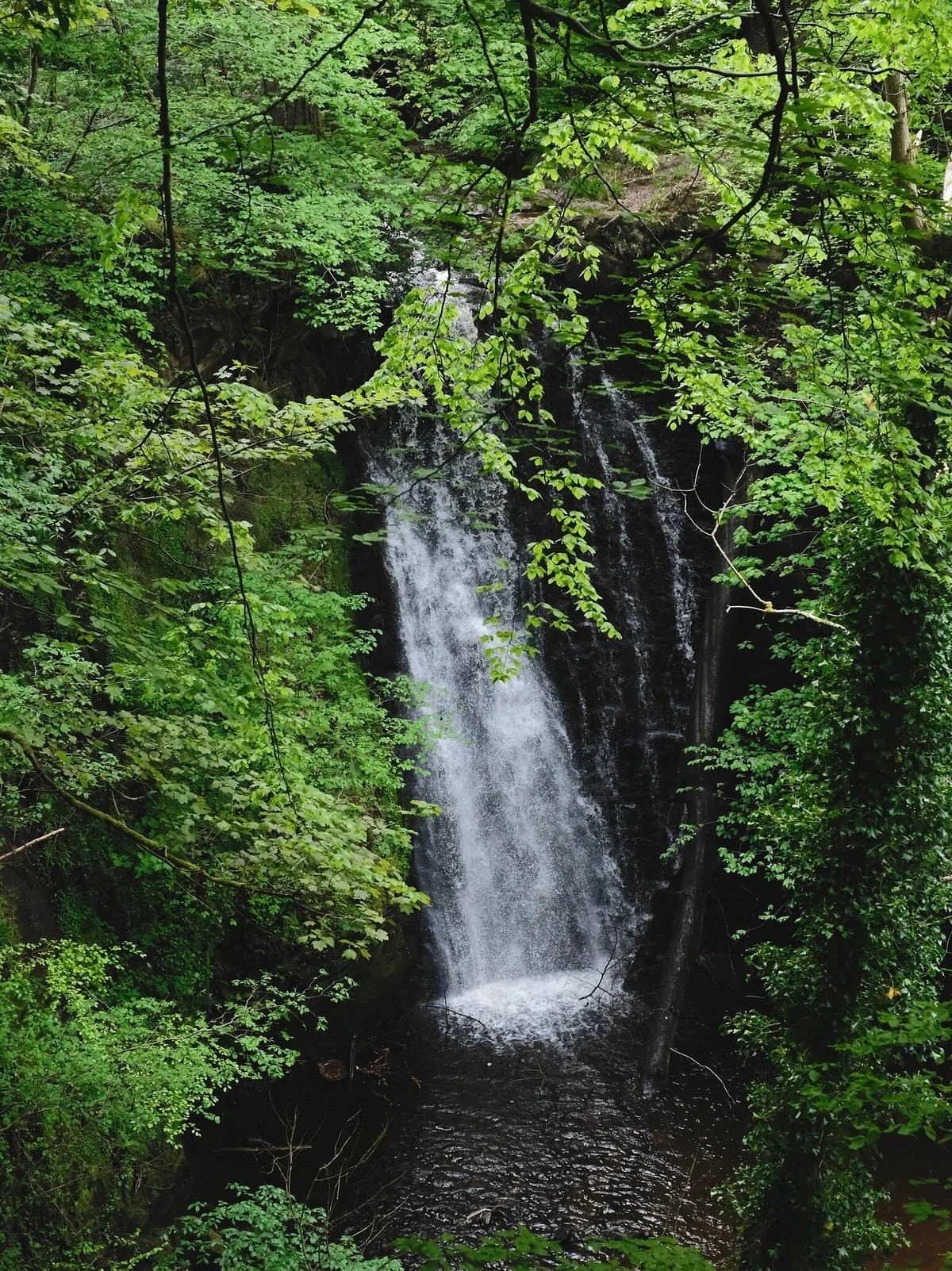Falling Foss Tea Garden and Waterfall