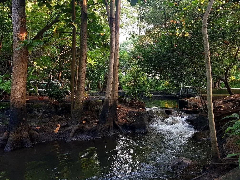 Osho Teerth Park