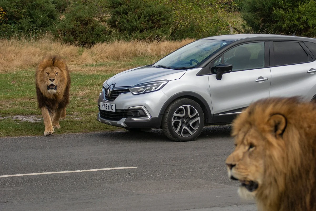 West Midland Safari Park