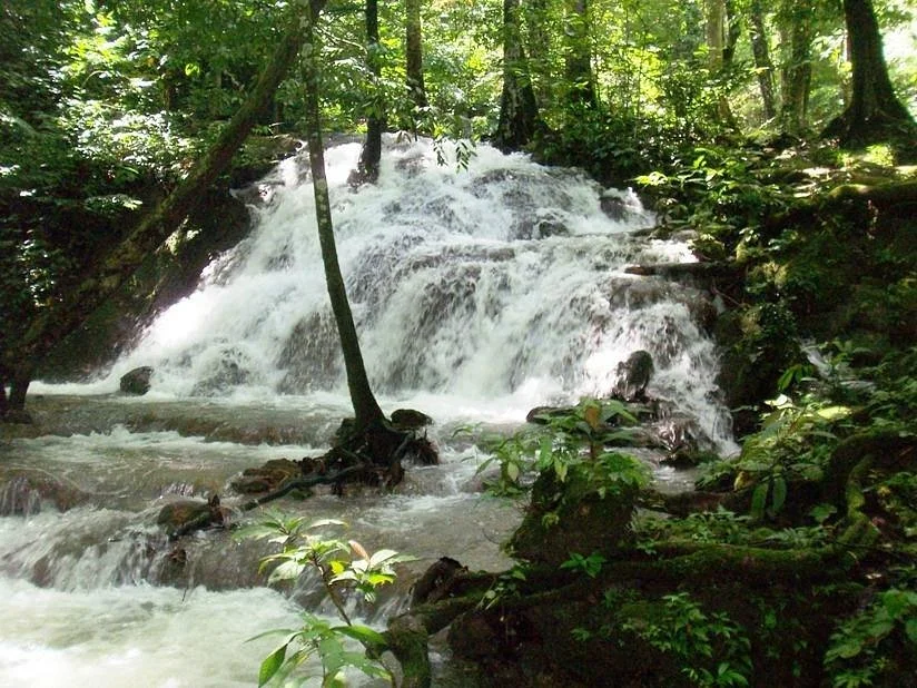 Sa Nang Manora Forest Park