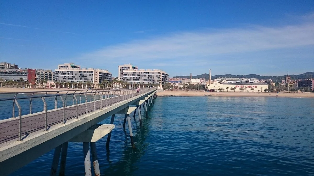 Pont del Petroli
