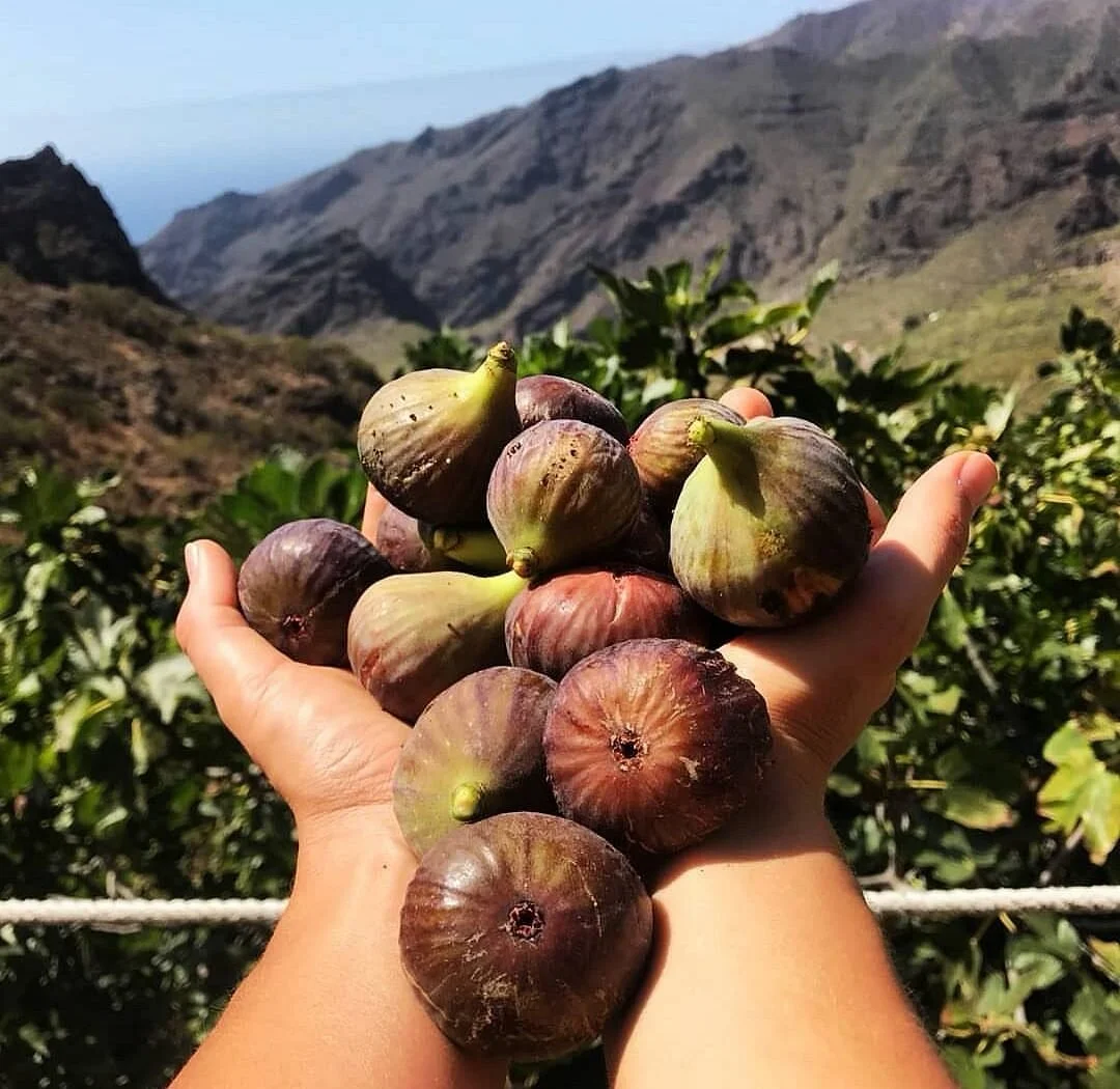 Masca Valley