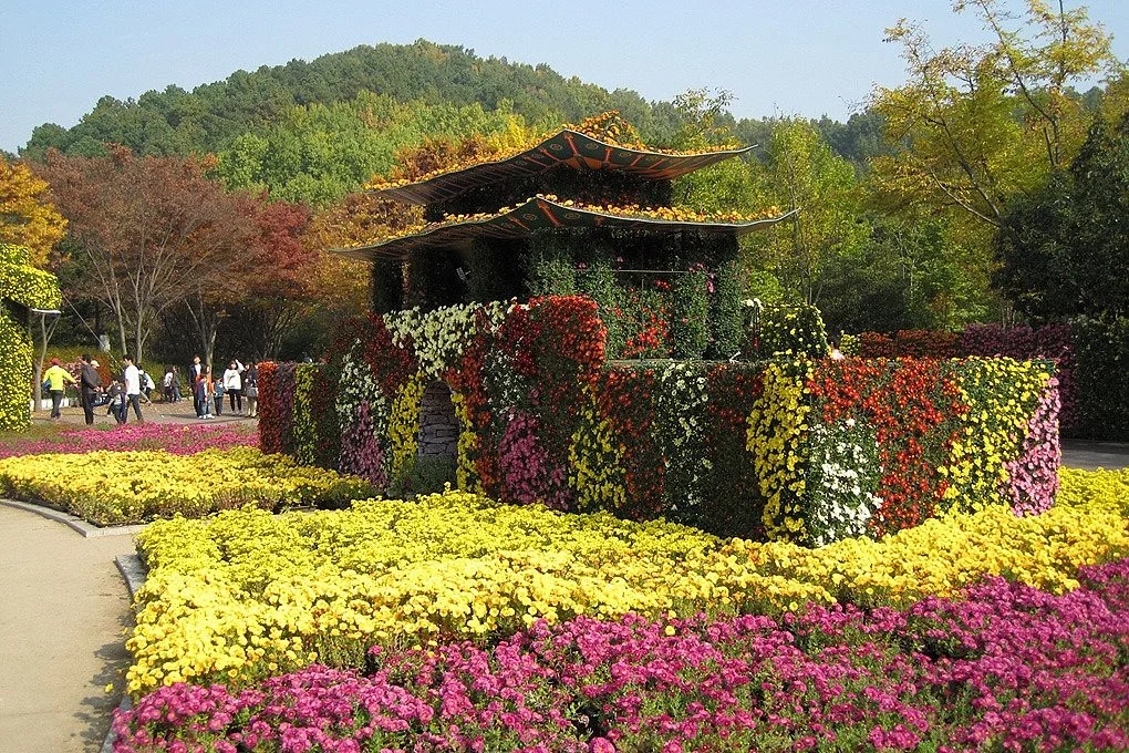 Daegu Arboretum