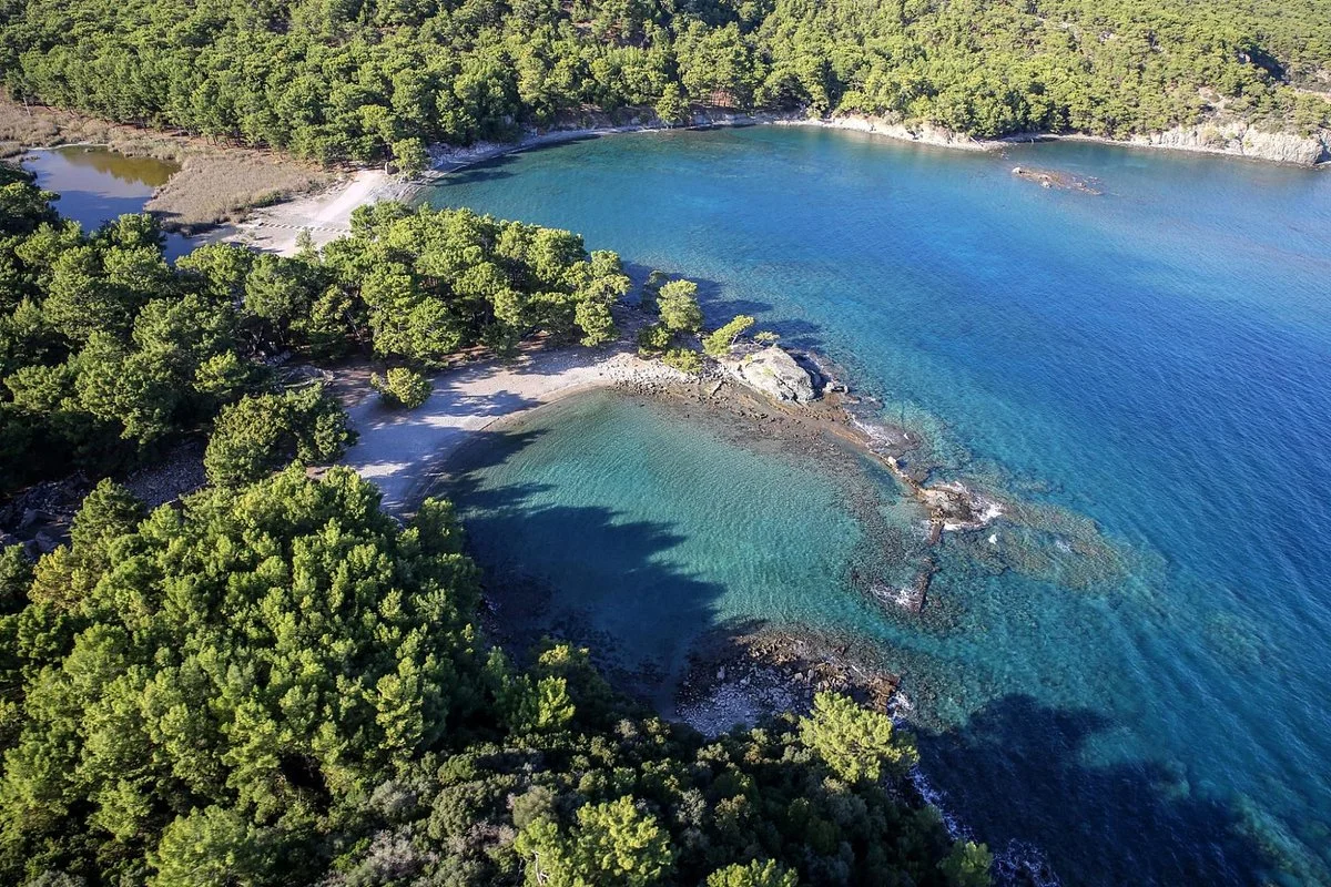 Phaselis