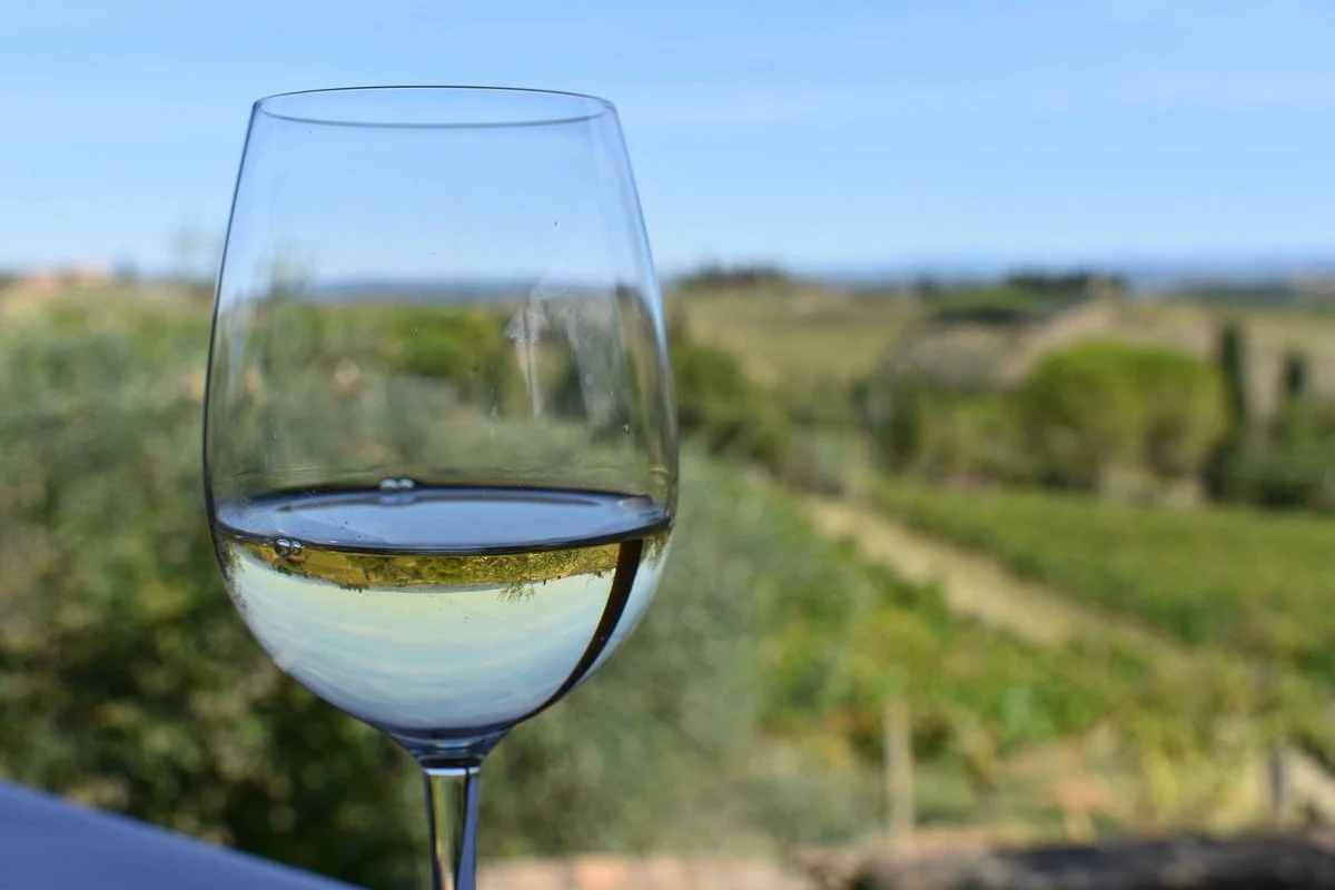 Guardastelle Vineyard