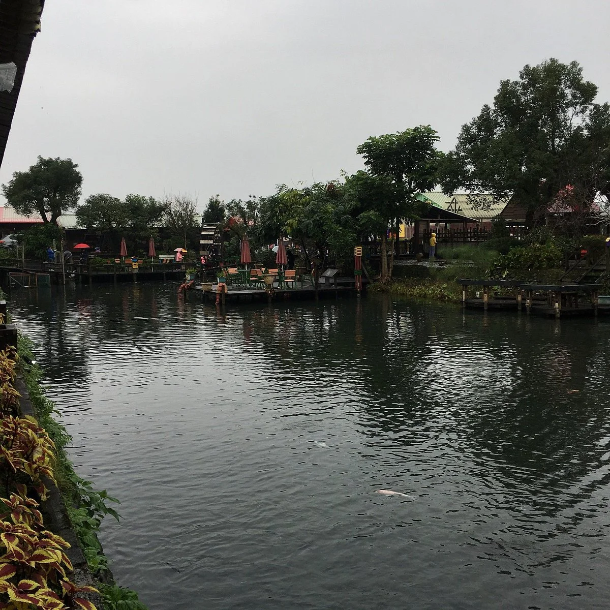 Guangsing Farm