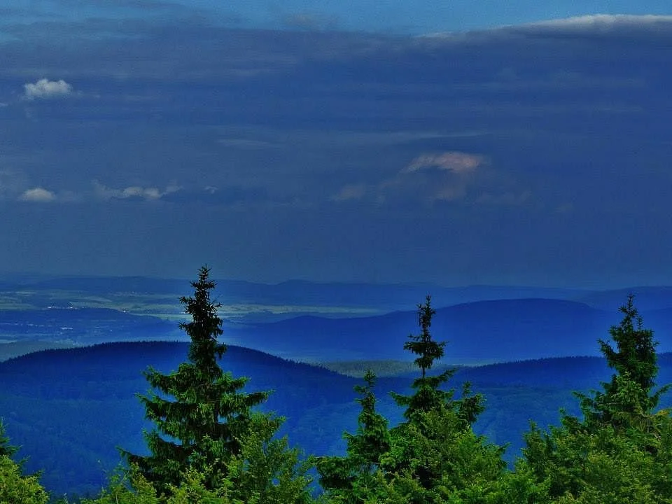Thuringian Woods