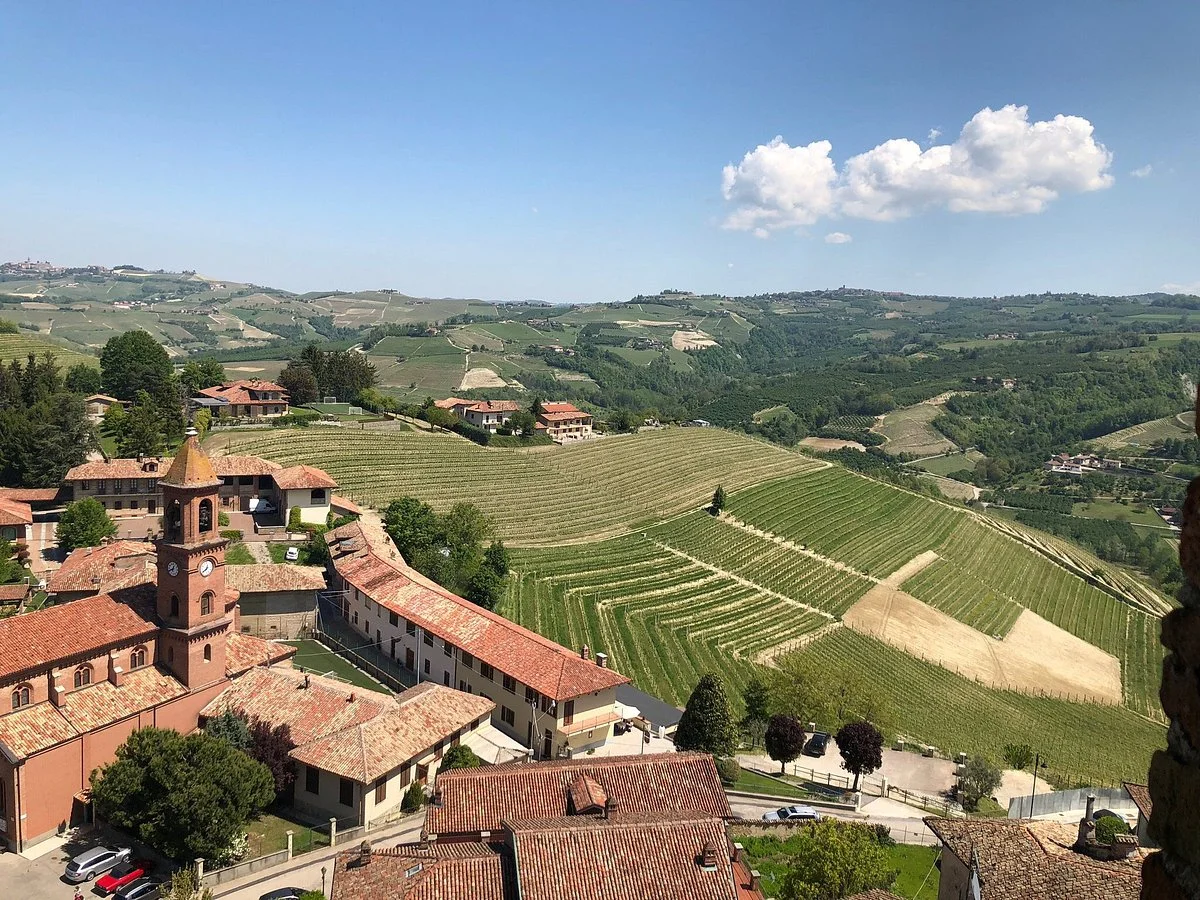 Langhe landscapes
