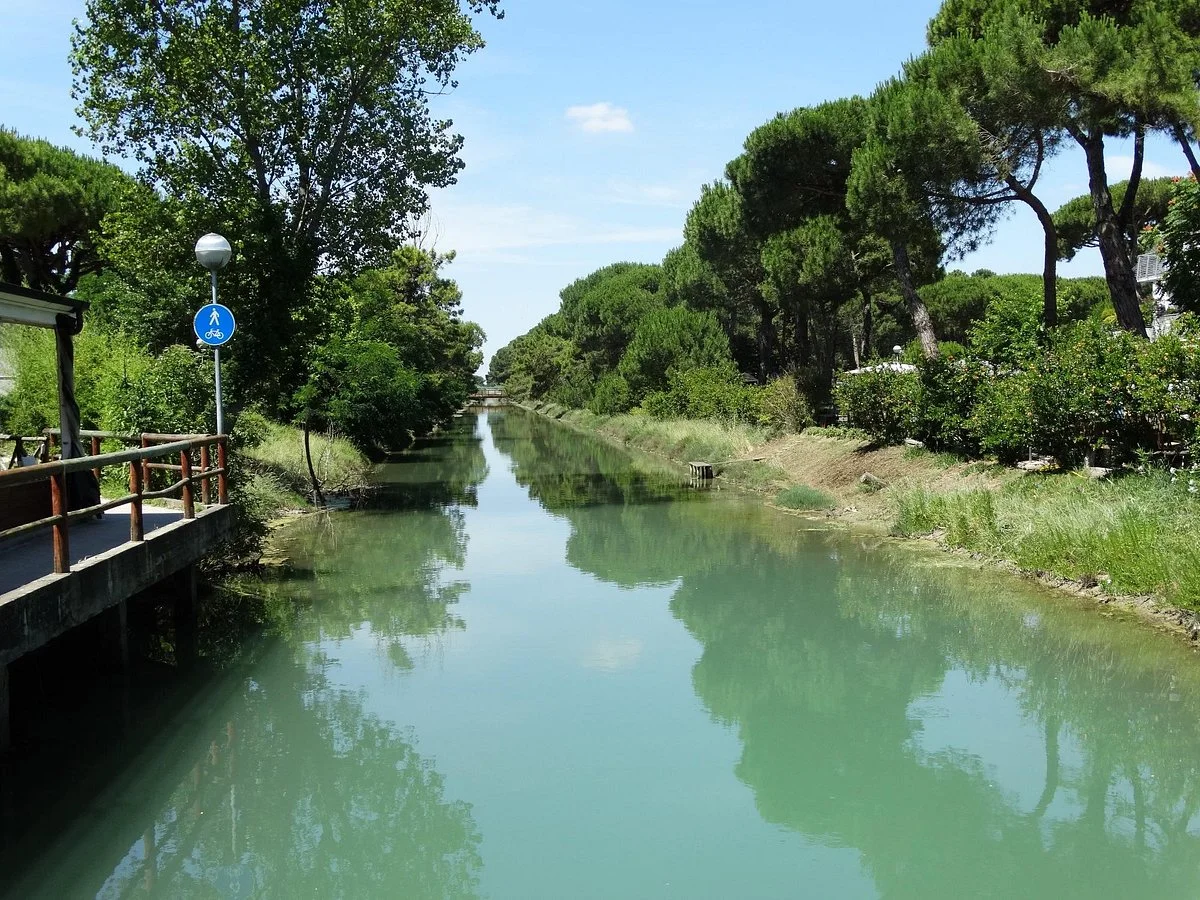 Pineta di Milano Marittima