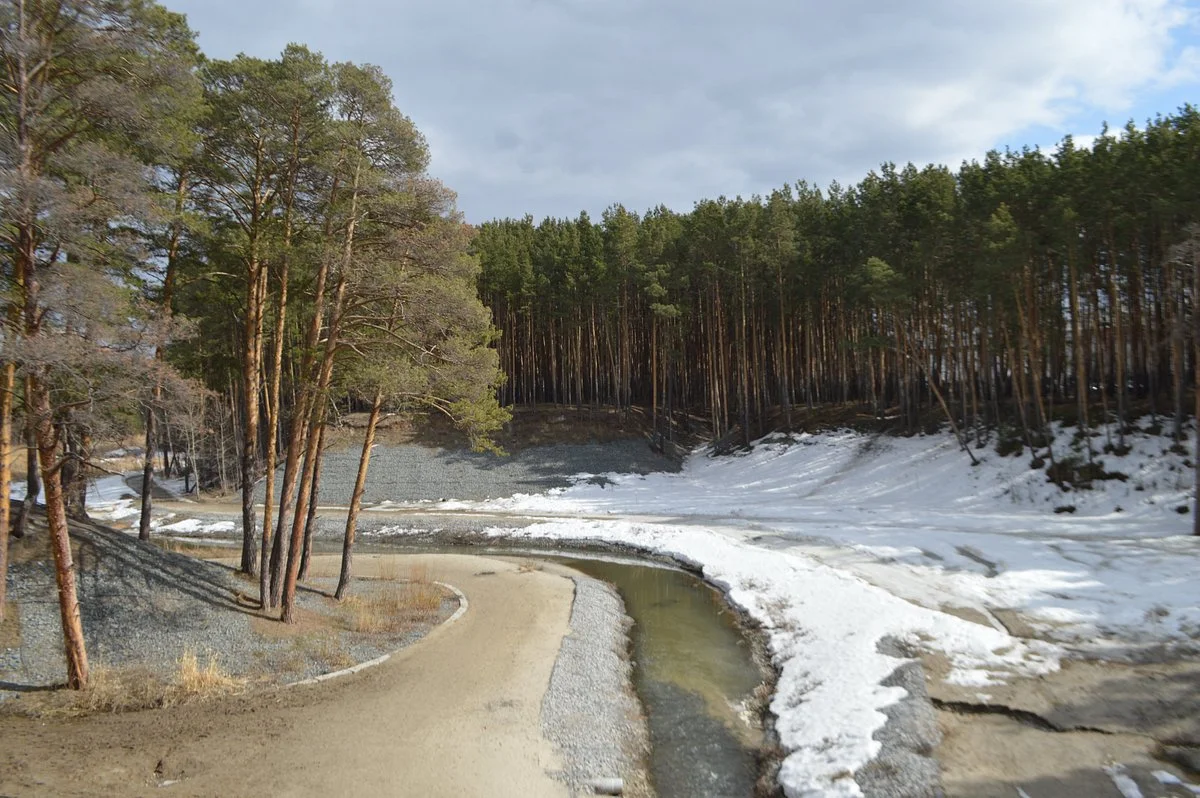 Gilevskaya Grove