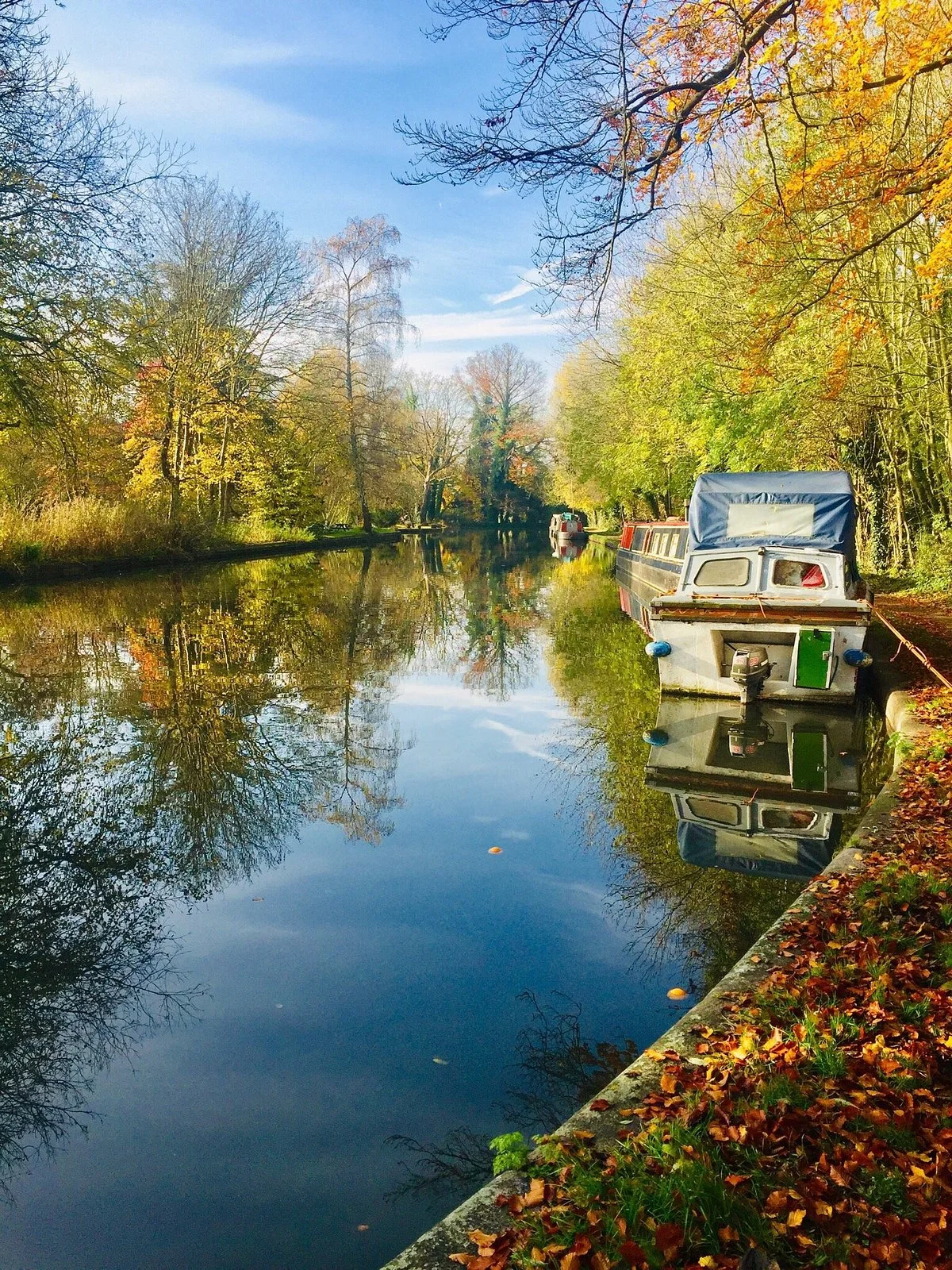 Cassiobury Park