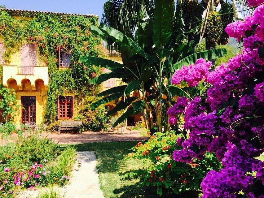 Jardin Botanique Val Rahmeh - Menton