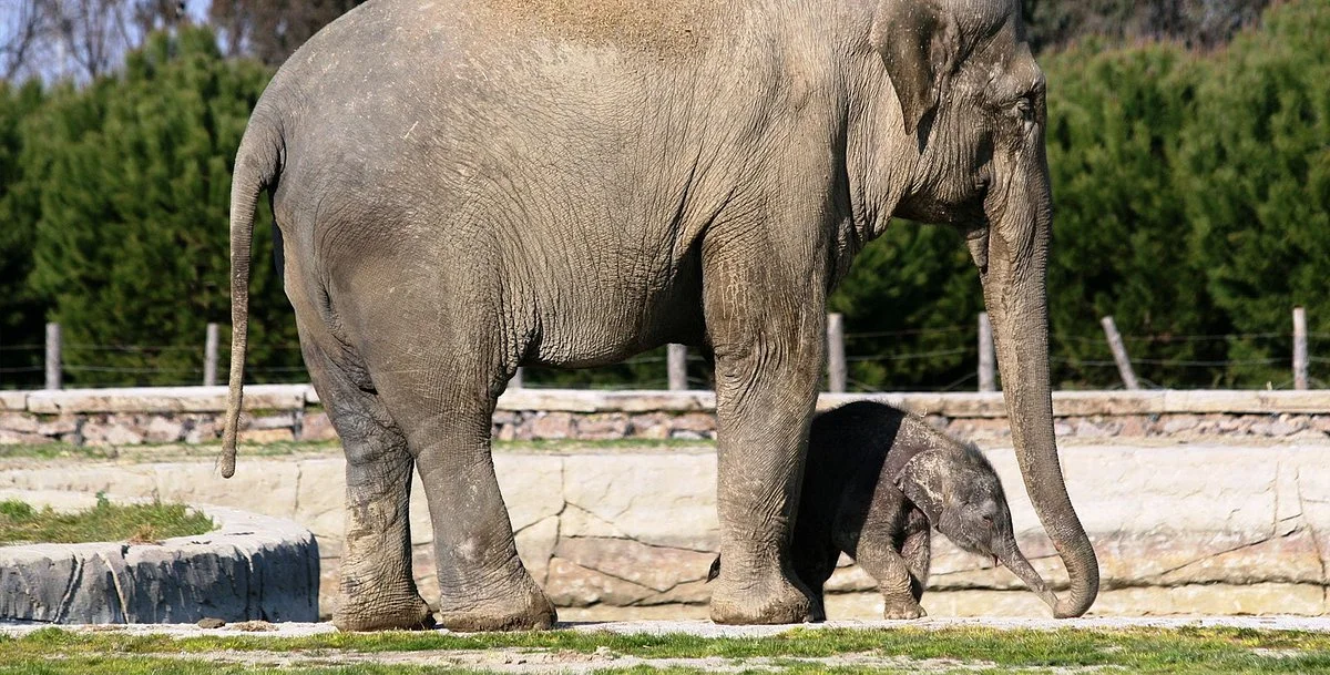 Izmir Wild Life Park