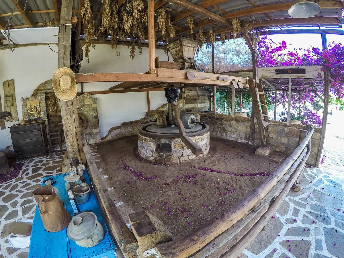 Cretan Olive Oil Farm