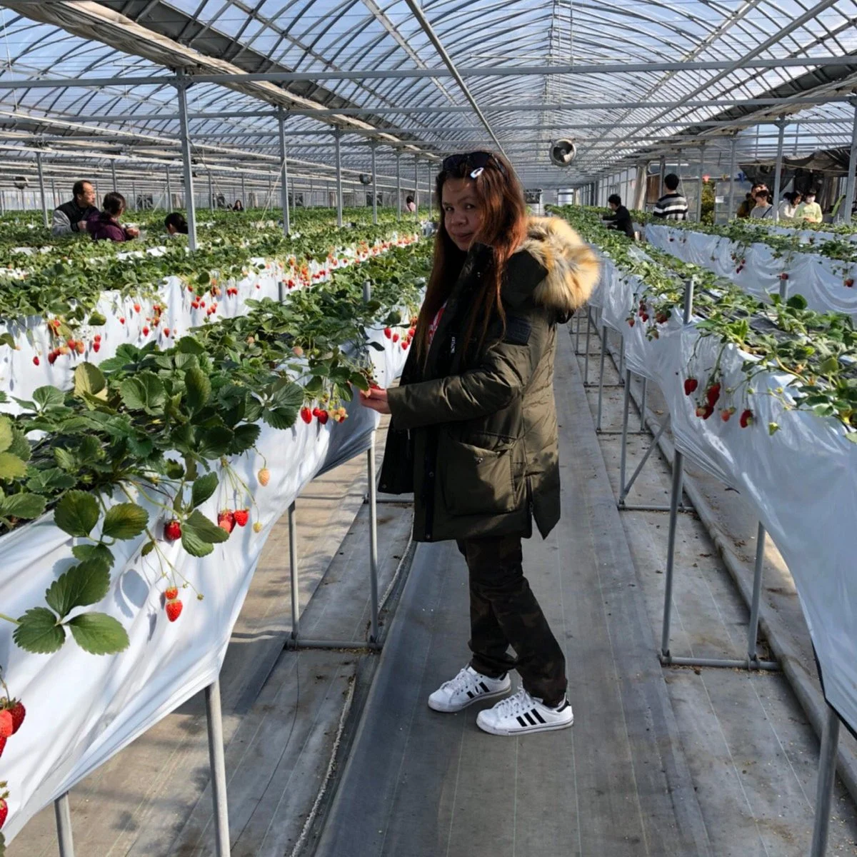 Minamichita Strawberry Farm