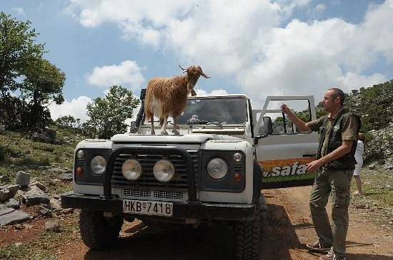 Safari Club Crete