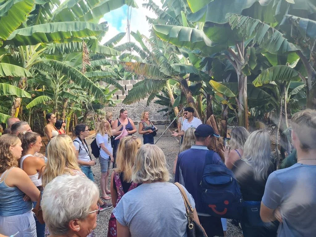 Museo Del Plátano Gran Canaria