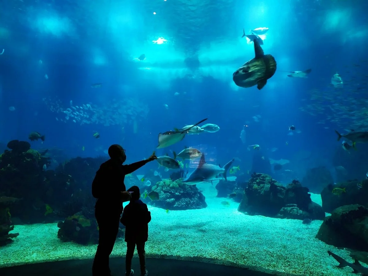 Oceanário de Lisboa