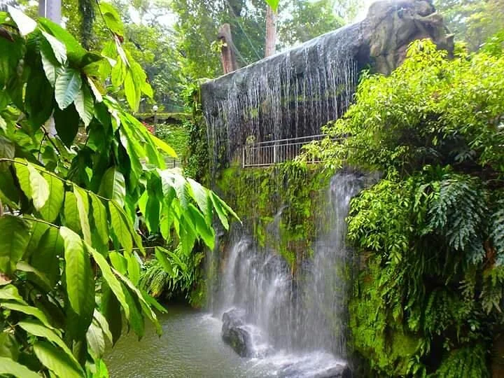 Kuala Lumpur Bird Park